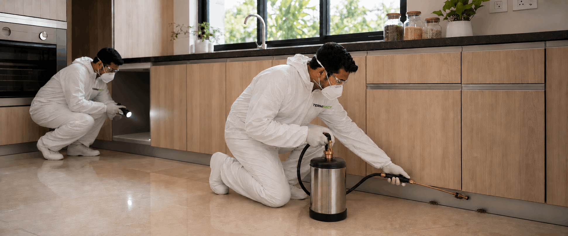 Cockroach control services