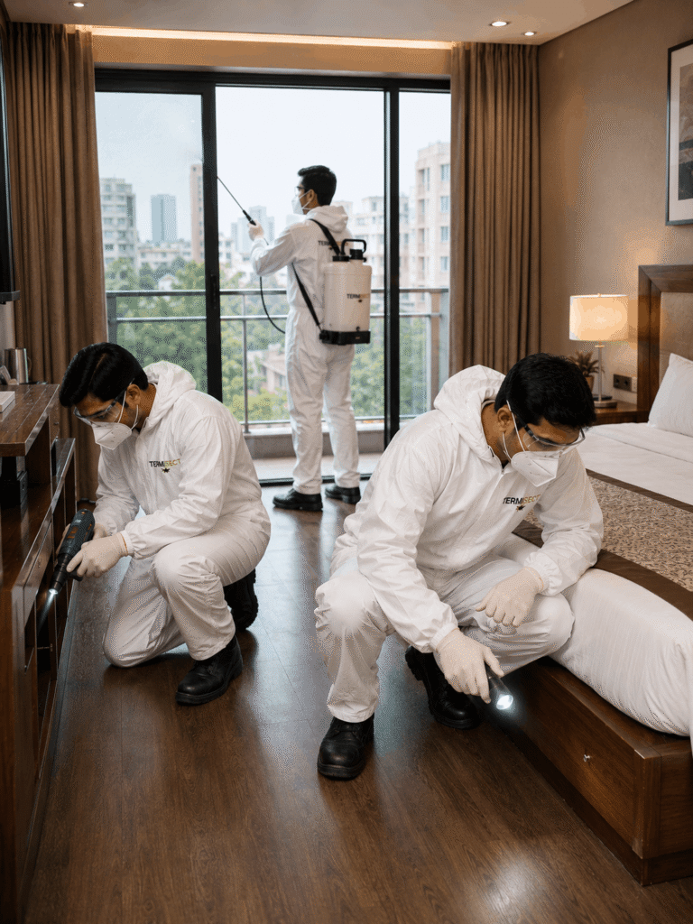 Termisect- pest control services in Delhi NCR